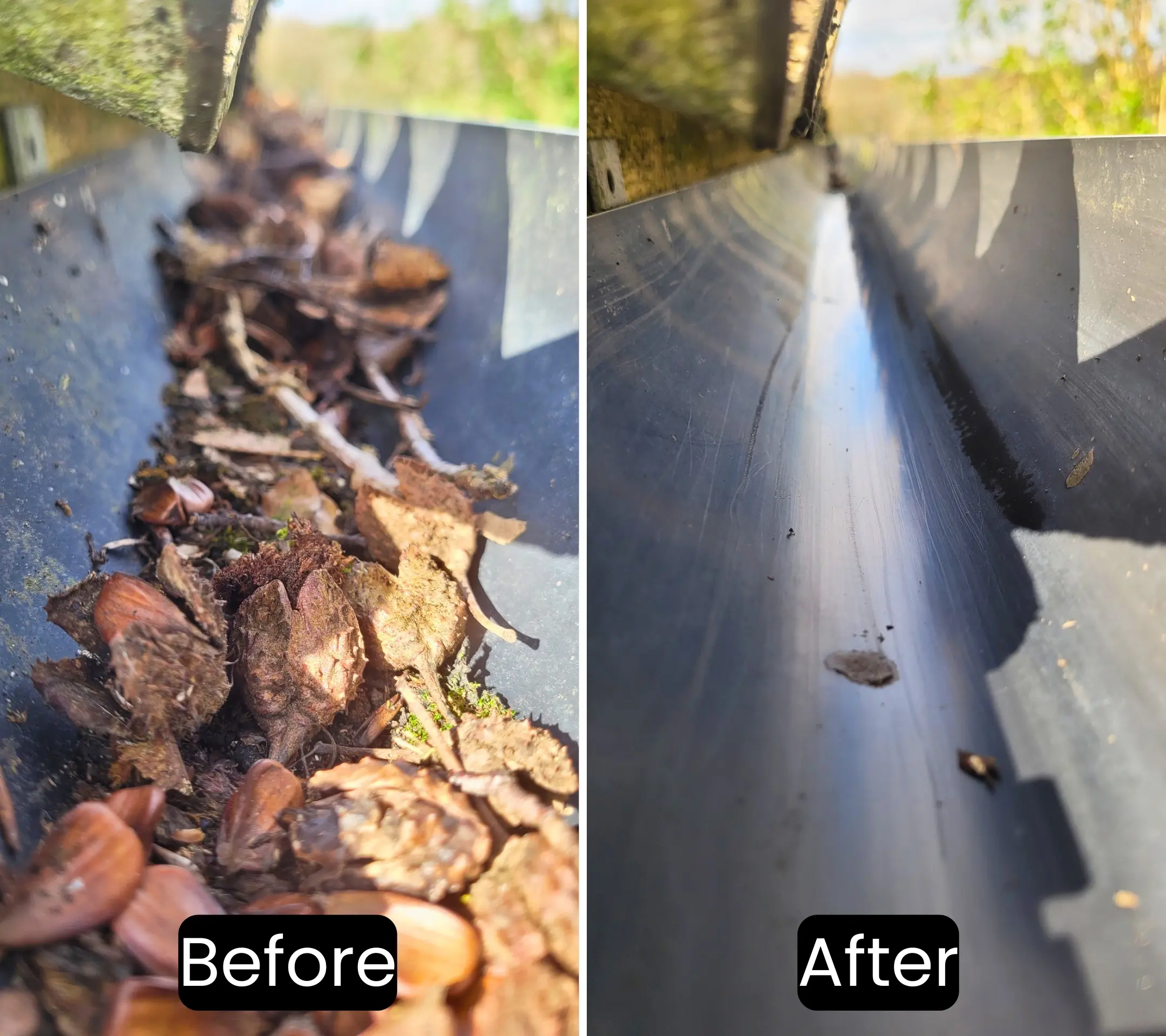 Residential gutter cleaning case study 1